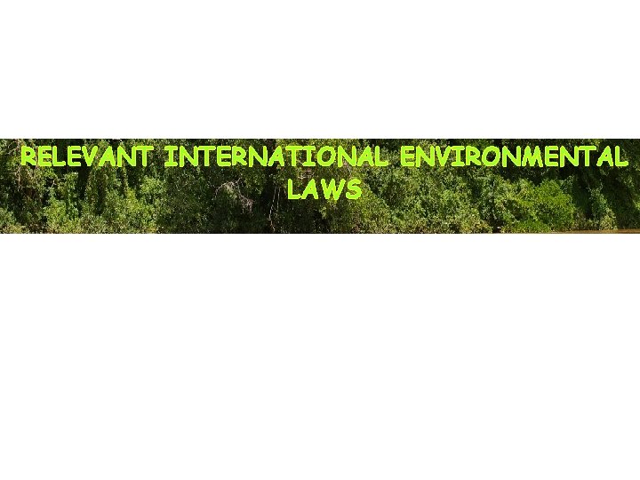 RELEVANT INTERNATIONAL ENVIRONMENTAL LAWS 