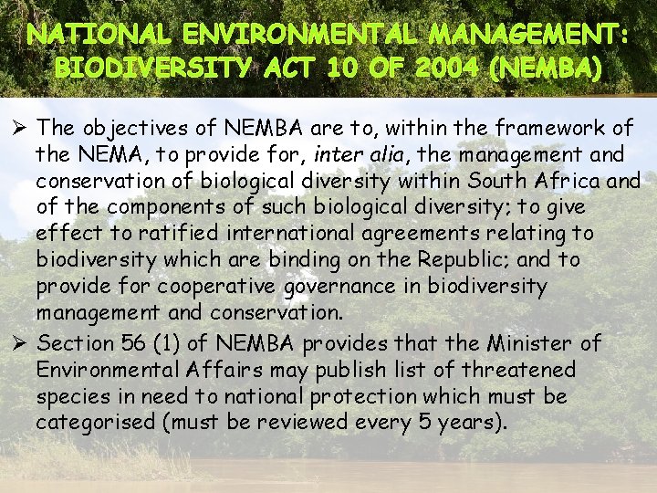 NATIONAL ENVIRONMENTAL MANAGEMENT: BIODIVERSITY ACT 10 OF 2004 (NEMBA) Ø The objectives of NEMBA