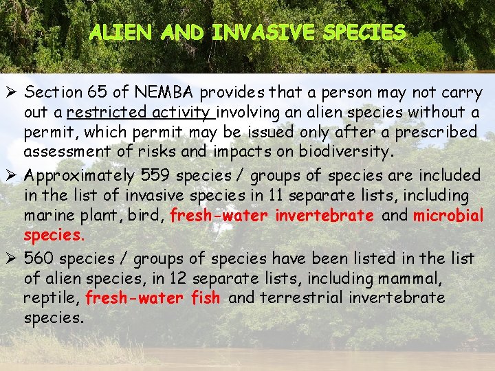ALIEN AND INVASIVE SPECIES Ø Section 65 of NEMBA provides that a person may