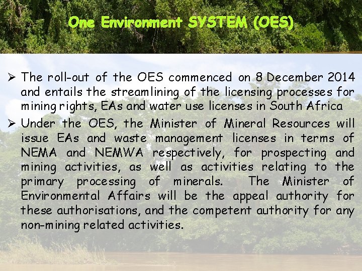 One Environment SYSTEM (OES) Ø The roll-out of the OES commenced on 8 December