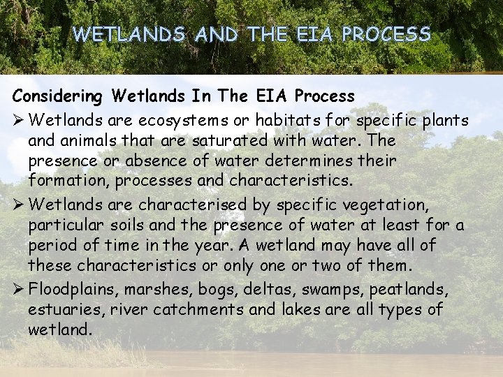 WETLANDS AND THE EIA PROCESS Considering Wetlands In The EIA Process Ø Wetlands are