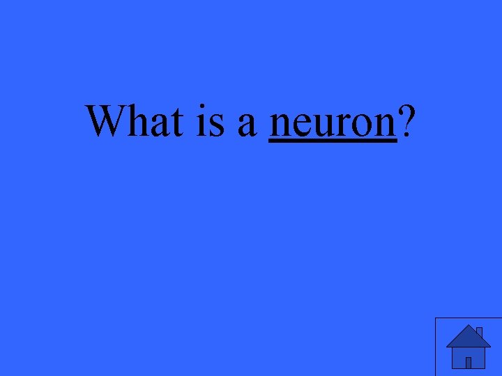 What is a neuron? 