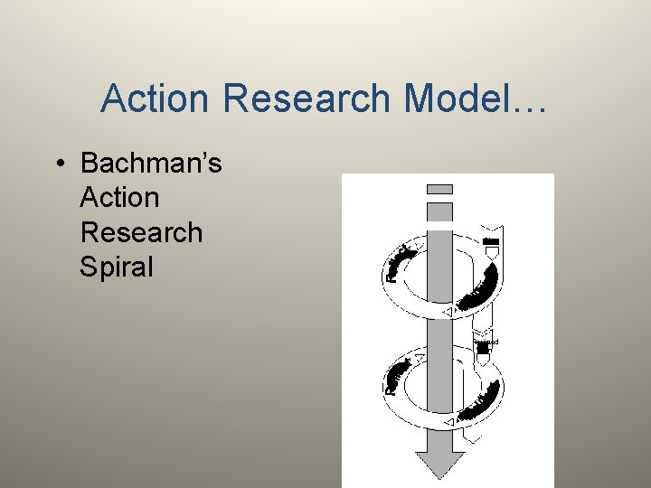 Action Research Model… • Bachman’s Action Research Spiral Plan Revised Plan 