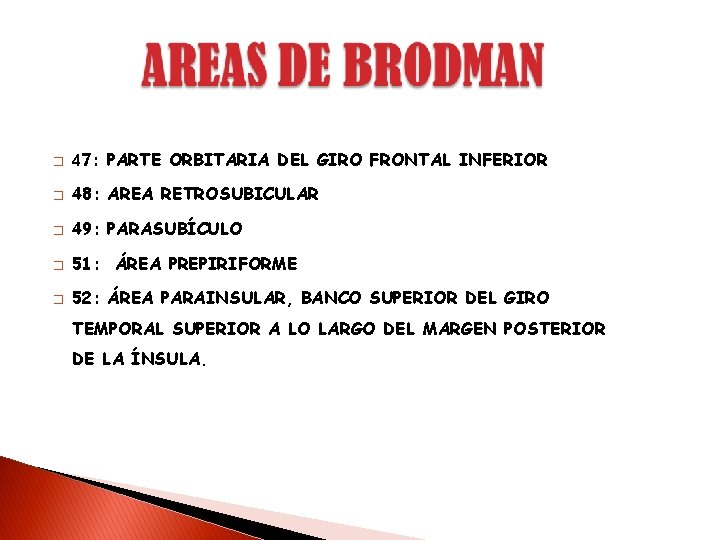 � 47: PARTE ORBITARIA DEL GIRO FRONTAL INFERIOR � 48: AREA RETROSUBICULAR � 49: