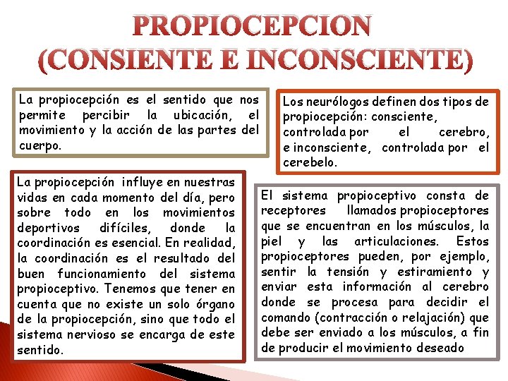 PROPIOCEPCION (CONSIENTE E INCONSCIENTE) La propiocepción es el sentido que nos permite percibir la