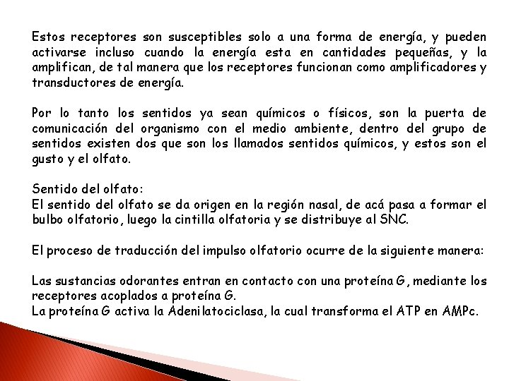 Estos receptores son susceptibles solo a una forma de energía, y pueden activarse incluso