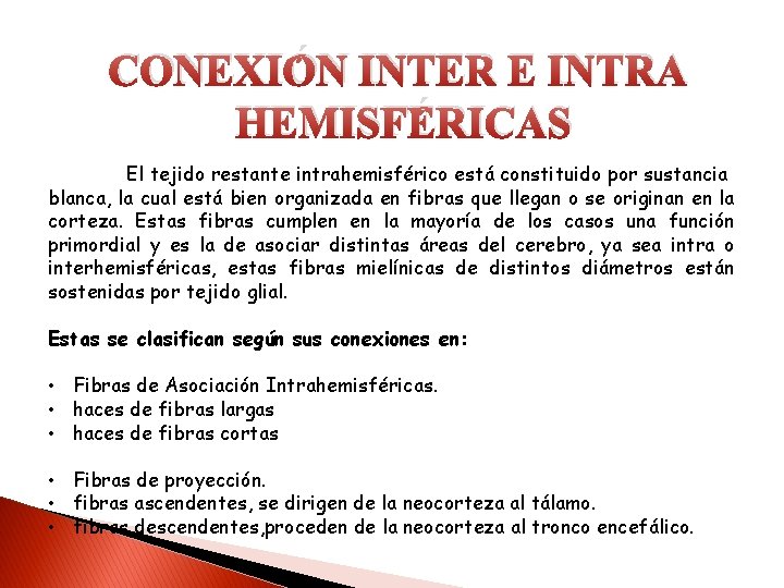 CONEXIÓN INTER E INTRA HEMISFÉRICAS El tejido restante intrahemisférico está constituido por sustancia blanca,