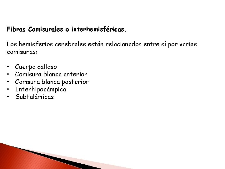 Fibras Comisurales o interhemisféricas. Los hemisferios cerebrales están relacionados entre sí por varias comisuras:
