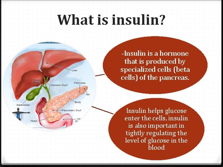 What is insulin? -Insulin is a hormone that is produced by specialized cells (beta