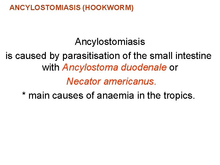 ANCYLOSTOMIASIS (HOOKWORM) Ancylostomiasis is caused by parasitisation of the small intestine with Ancylostoma duodenale