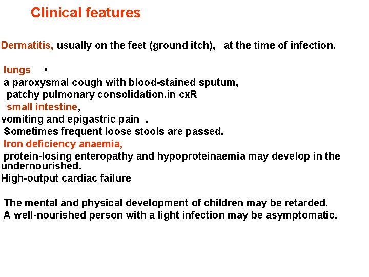 Clinical features Dermatitis, usually on the feet (ground itch), at the time of infection.