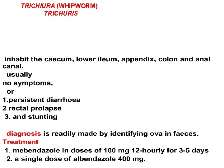TRICHIURA (WHIPWORM) TRICHURIS 