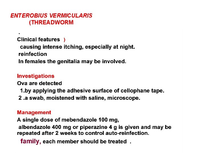 ENTEROBIUS VERMICULARIS (THREADWORM 