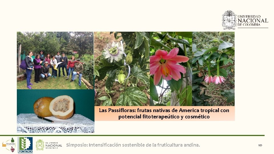 Las Passifloras: frutas nativas de America tropical con potencial fitoterapeútico y cosmético Simposio: Intensificación