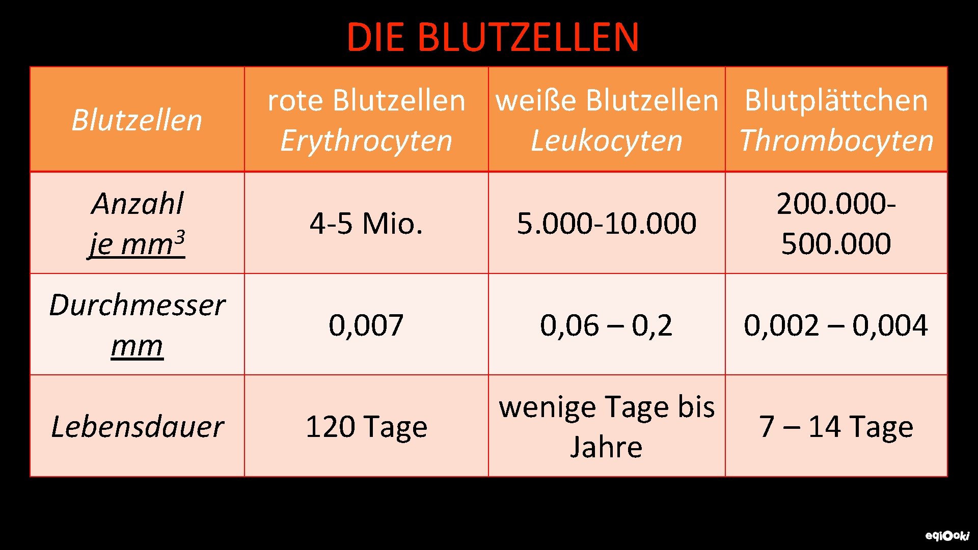 DIE BLUTZELLEN Blutzellen rote Blutzellen weiße Blutzellen Blutplättchen Erythrocyten Leukocyten Thrombocyten Anzahl 3 je