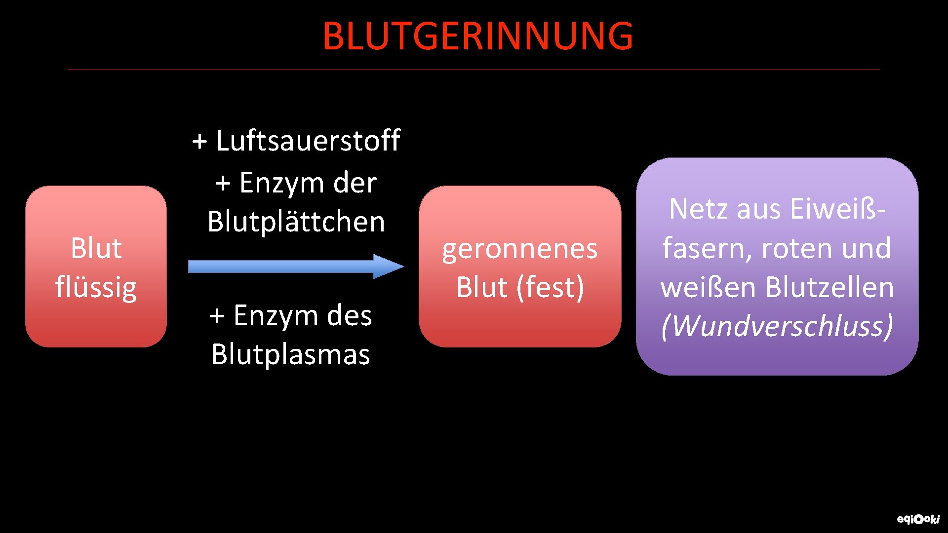 BLUTGERINNUNG Blut flüssig + Luftsauerstoff + Enzym der Blutplättchen + Enzym des Blutplasmas geronnenes