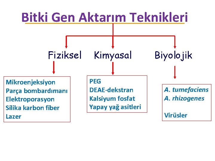 Bitki Gen Aktarım Teknikleri Fiziksel Mikroenjeksiyon Parça bombardımanı Elektroporasyon Silika karbon fiber Lazer Kimyasal