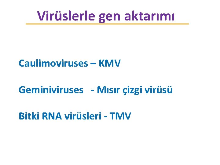 Virüslerle gen aktarımı Caulimoviruses – KMV Geminiviruses - Mısır çizgi virüsü Bitki RNA virüsleri