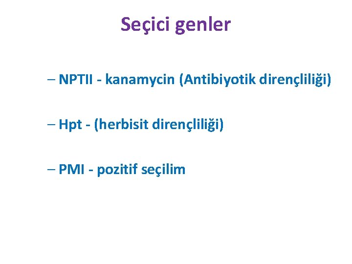 Seçici genler – NPTII - kanamycin (Antibiyotik dirençliliği) – Hpt - (herbisit dirençliliği) –