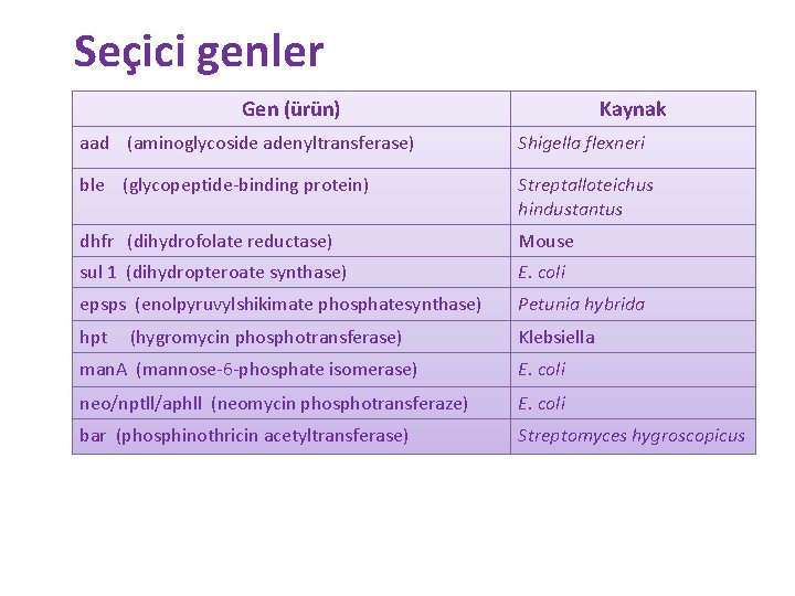 Seçici genler Gen (ürün) Kaynak aad (aminoglycoside adenyltransferase) Shigella flexneri ble (glycopeptide-binding protein) Streptalloteichus