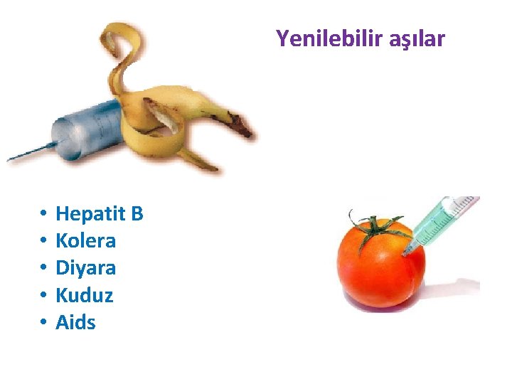 Yenilebilir aşılar • • • Hepatit B Kolera Diyara Kuduz Aids 