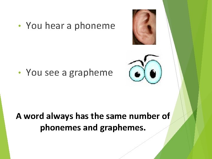  • You hear a phoneme • You see a grapheme A word always
