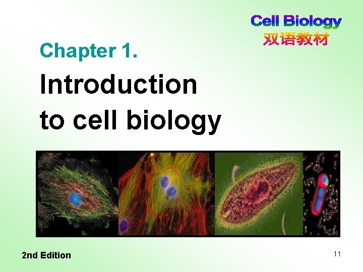 Chapter 1. Introduction to cell biology 2 nd Edition 11 