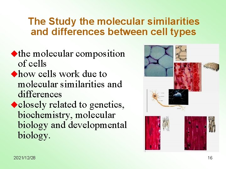 The Study the molecular similarities and differences between cell types uthe molecular composition of