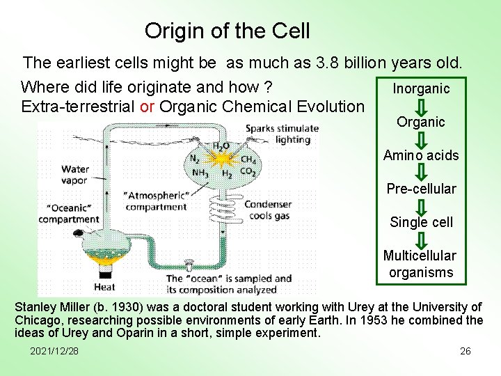 Origin of the Cell The earliest cells might be as much as 3. 8