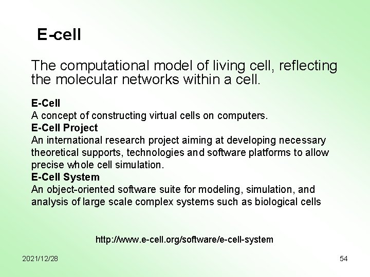 E-cell The computational model of living cell, reflecting the molecular networks within a cell.