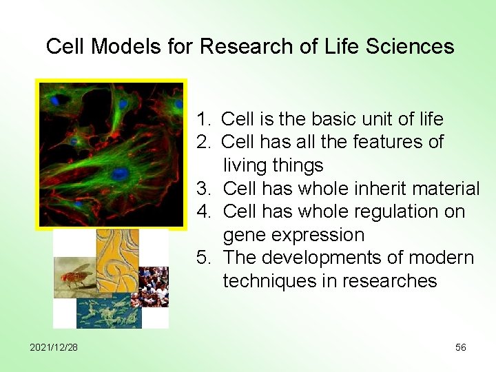 Cell Models for Research of Life Sciences 1. Cell is the basic unit of