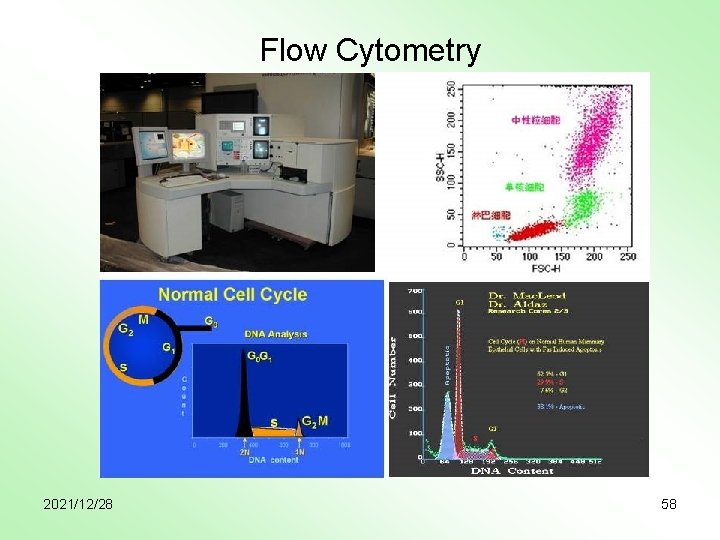 Flow Cytometry 2021/12/28 58 