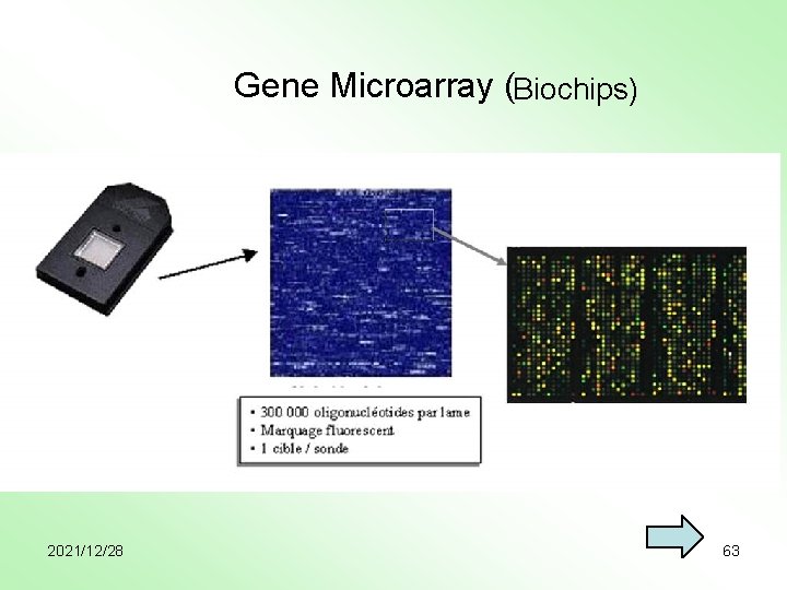 Gene Microarray (Biochips) 2021/12/28 63 