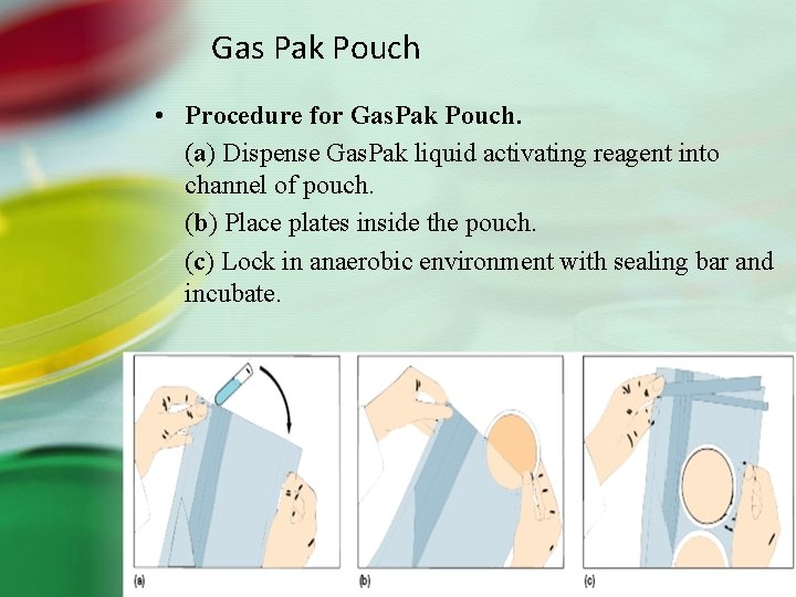 Gas Pak Pouch • Procedure for Gas. Pak Pouch. (a) Dispense Gas. Pak liquid