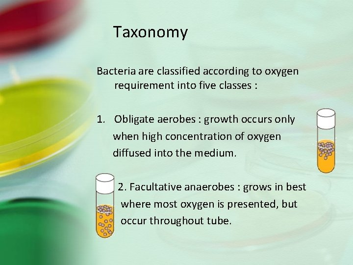 Taxonomy Bacteria are classified according to oxygen requirement into five classes : 1. Obligate