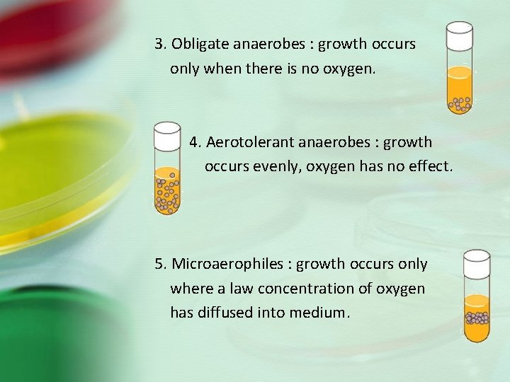 3. Obligate anaerobes : growth occurs only when there is no oxygen. 4. Aerotolerant