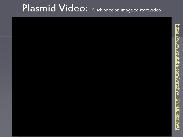 Plasmid Video: Click once on image to start video https: //www. youtube. com/watch? v=GNMJBMt.