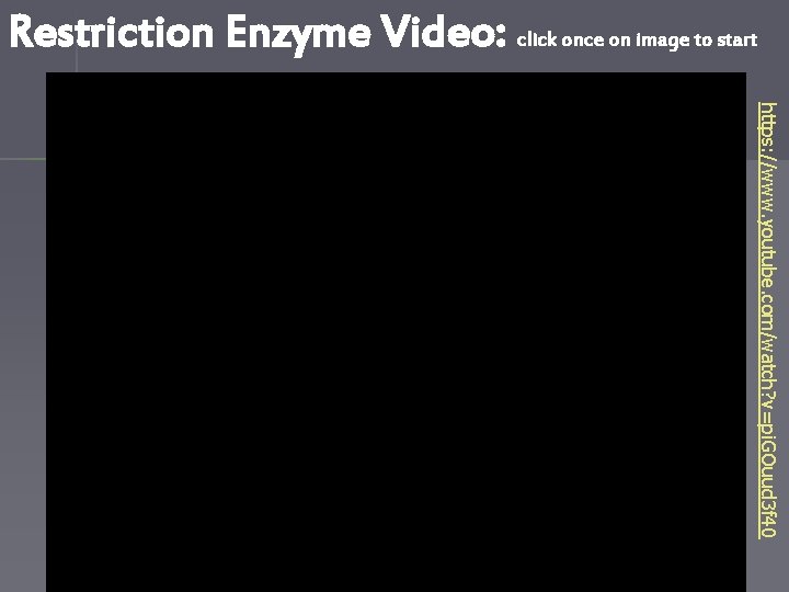 Restriction Enzyme Video: click once on image to start https: //www. youtube. com/watch? v=pi.