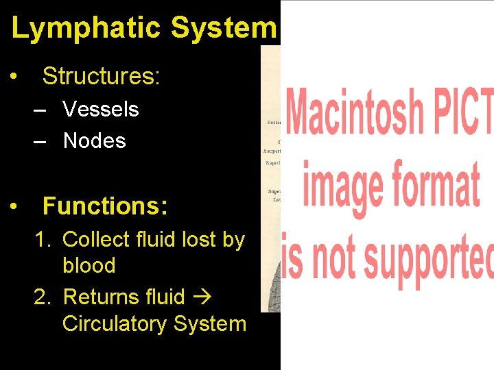 Lymphatic System • Structures: – Vessels – Nodes • Functions: 1. Collect fluid lost