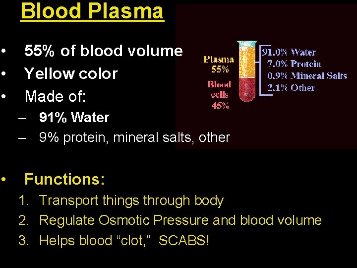 Blood Plasma • • • 55% of blood volume Yellow color Made of: –