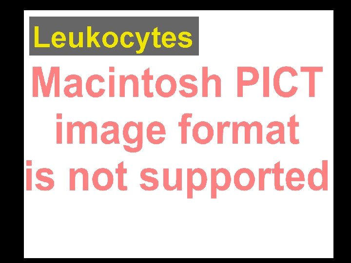 Leukocytes 
