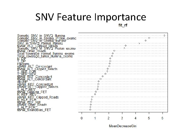 SNV Feature Importance 