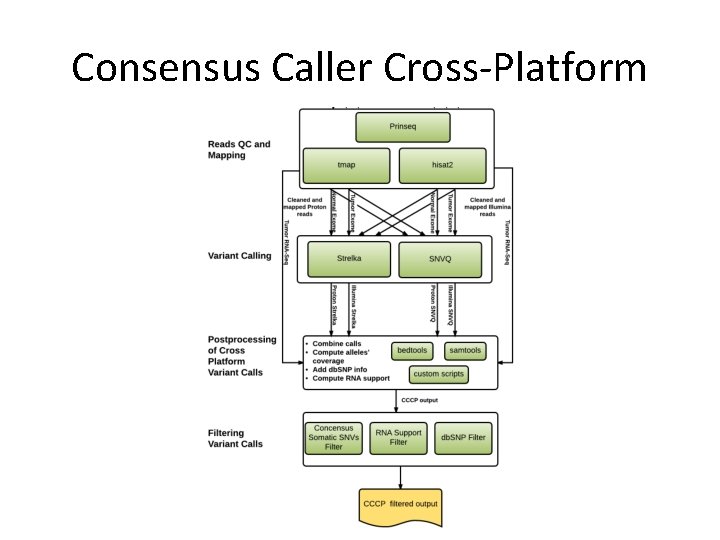 Consensus Caller Cross-Platform 