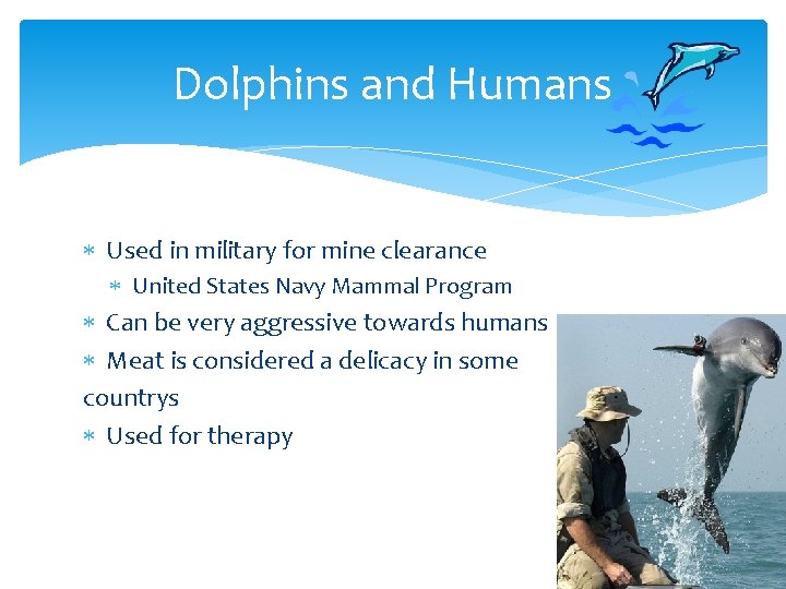 Dolphins and Humans Used in military for mine clearance United States Navy Mammal Program
