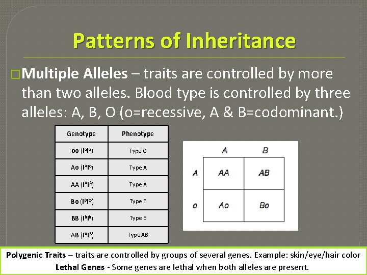 Patterns of Inheritance �Multiple Alleles – traits are controlled by more than two alleles.