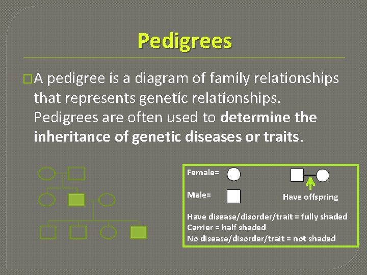 Pedigrees �A pedigree is a diagram of family relationships that represents genetic relationships. Pedigrees