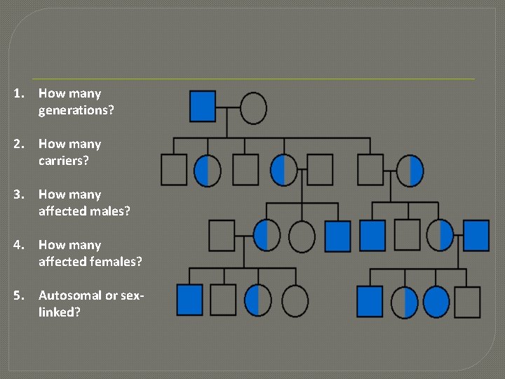 1. How many generations? 2. How many carriers? 3. How many affected males? 4.