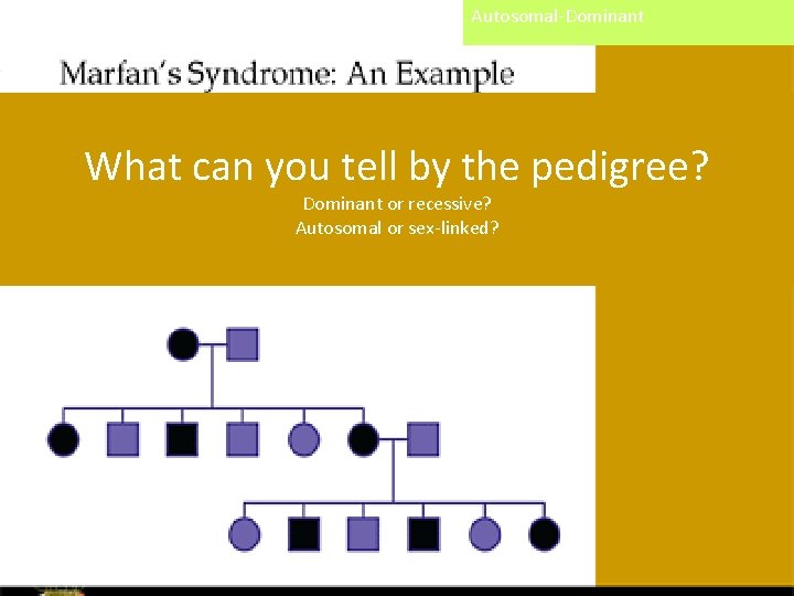 Autosomal-Dominant What can you tell by the pedigree? Dominant or recessive? Autosomal or sex-linked?