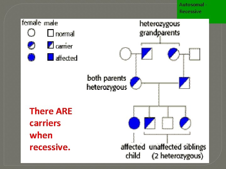 Autosomal Recessive There ARE carriers when recessive. 
