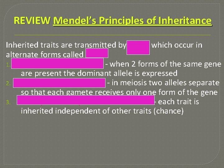 REVIEW Mendel’s Principles of Inheritance Inherited traits are transmitted by genes which occur in